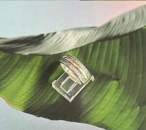 2121 Anillo PlataOro