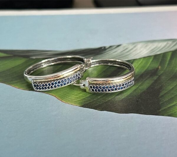 2171 Aretes PlataOro