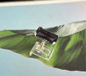 2173 Anillo PlataOro