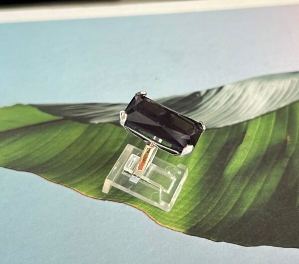 2173 Anillo PlataOro