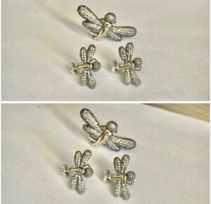 Set de Joyeria PlataOro