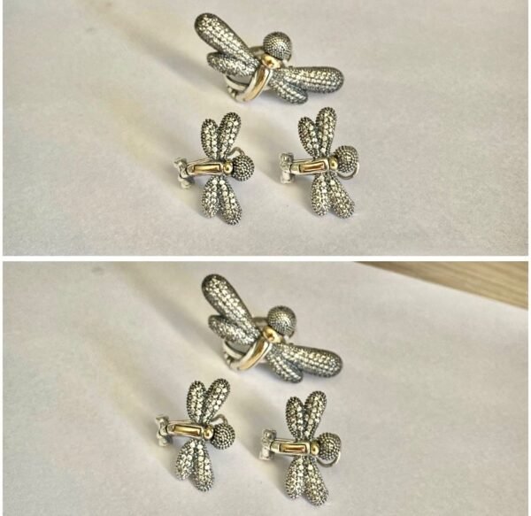 Set de Joyeria PlataOro