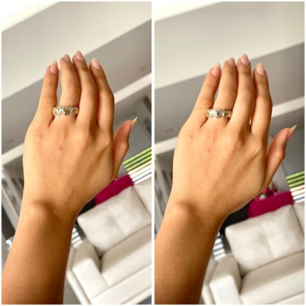 1503 Anillo PlataOro