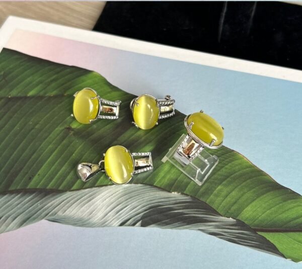 Set de Joyeria PlataOro