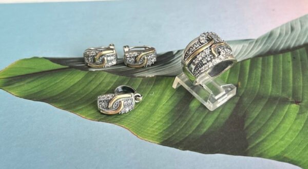 Set de Joyeria PlataOro