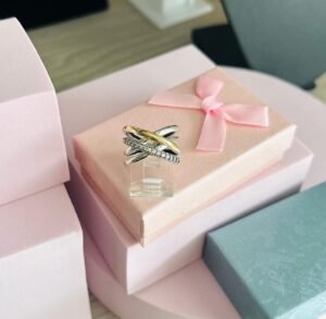 2254 Anillo PlataOro