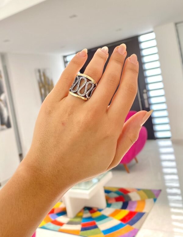 Anillo PlataOro